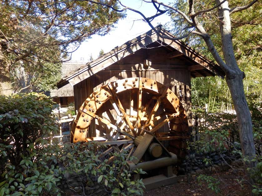 🏞️ 고다이라 시립 중앙공원 (코다이라 시리츠 추오 코엔) 이미지 9